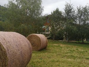 Photo du gite La Grange Neuve, à Montferrier dans l'Ariège, exterieur jardin 03
