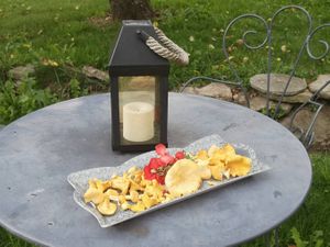 Photo du gite La Grange Neuve, à Montferrier dans l'Ariège, exterieur cueillette girolles