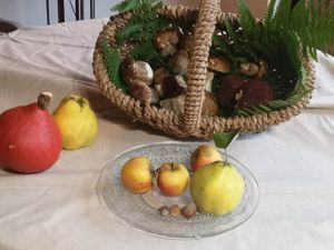 Photo du gite La Grange Neuve, à Montferrier dans l'Ariège, exterieur cueillette cepes 01